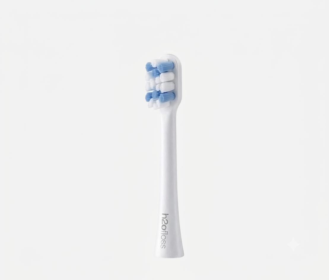 Toothbrush head x 2